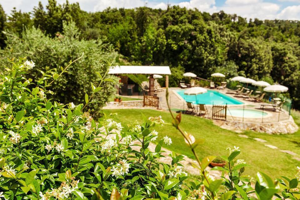 Agriturismo & Cantina Tenuta Casteani Ribolla Dış mekan fotoğraf