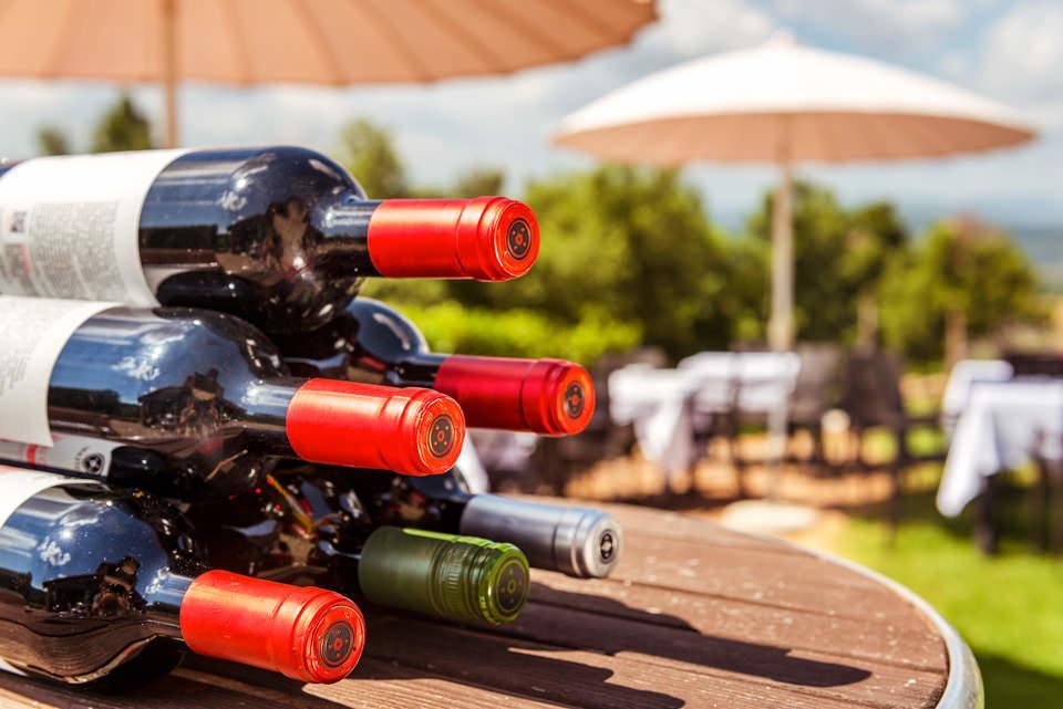 Agriturismo & Cantina Tenuta Casteani Ribolla Dış mekan fotoğraf